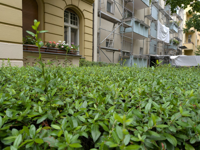 Der Tiefenschärfebereich des Pixel 10 ist kleiner ...